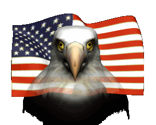 eagle_flag_wave_hg_clr.gif